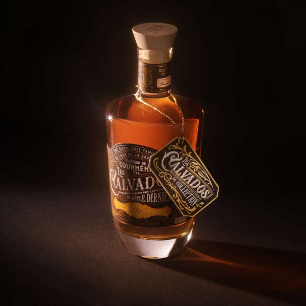 Calvados - Château de Courmenil